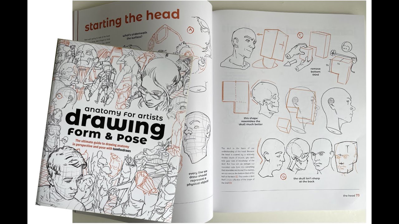 Anatomy for Artists: Drawing Form & Pose by tomfoxdraws flip through. MUST HAVE!!
