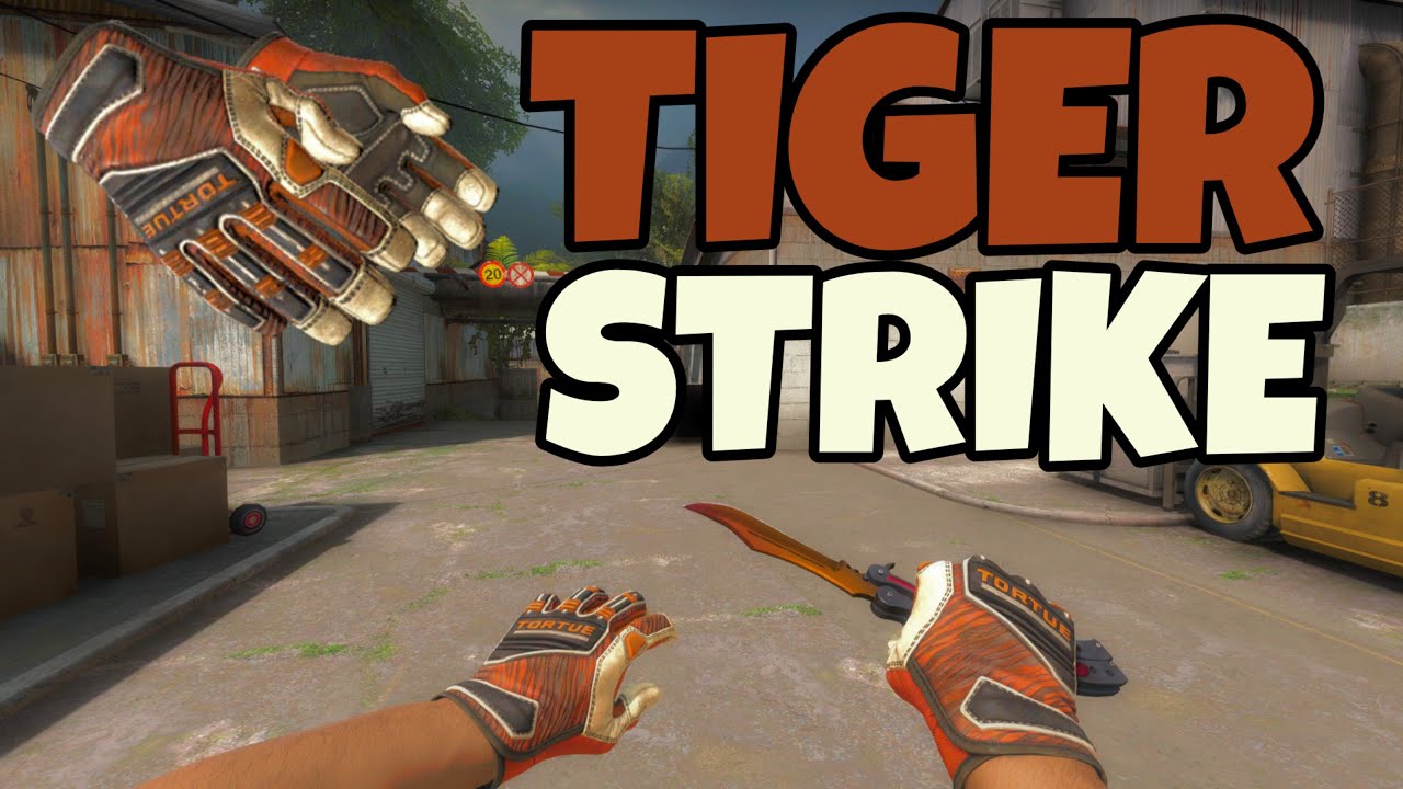 CS GO SKIN PACK SPECIALIST GLOVES 