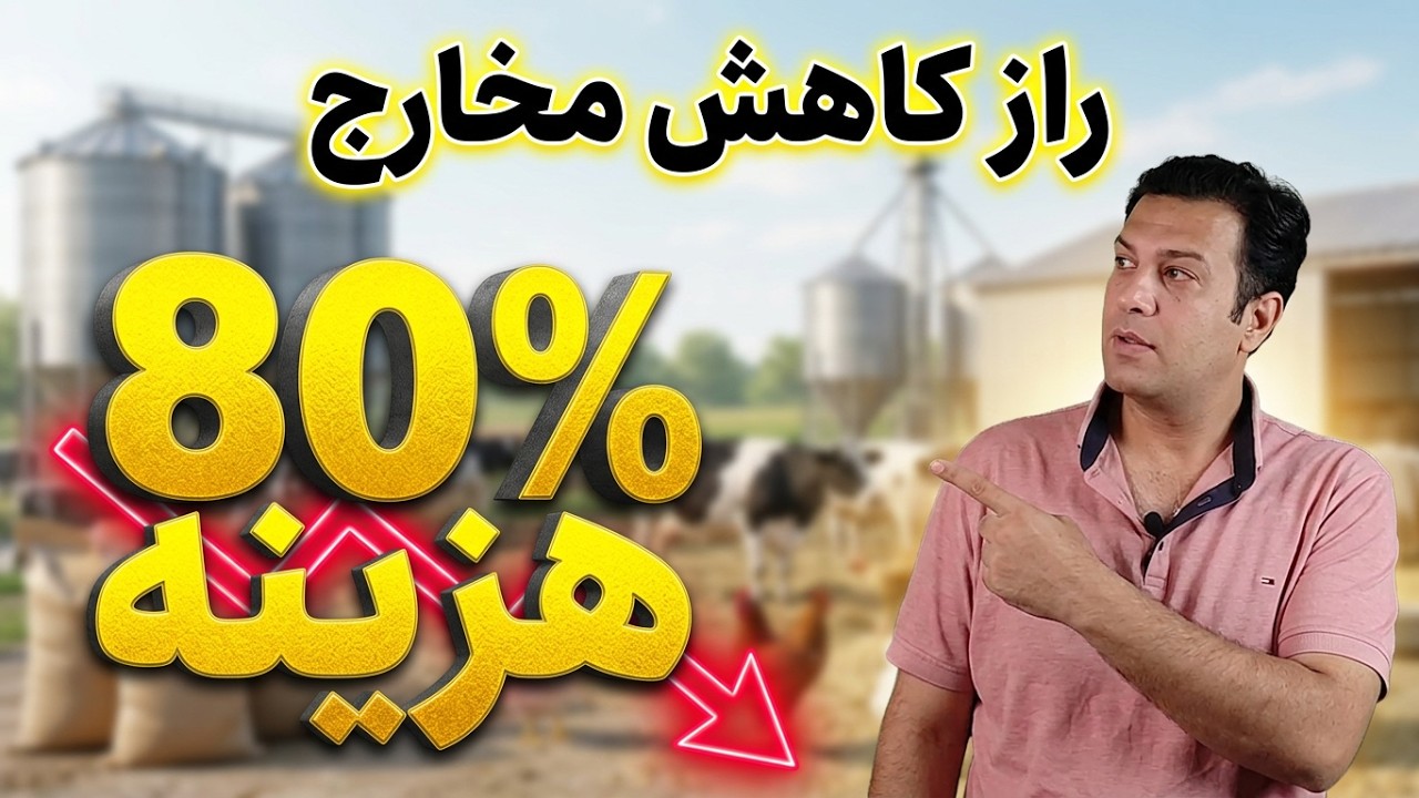 مواد غذایی ارزان ولی معجزه گر در خوراک دام و طیور