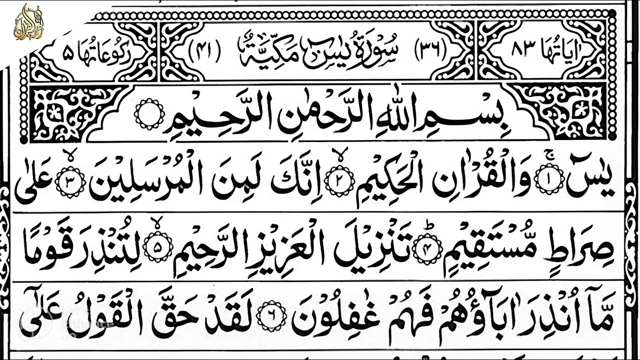 Surah Yaseen Surah Ar Rahman | Best Quran Recitation | Surah Yasin Tilawat | Episode_002