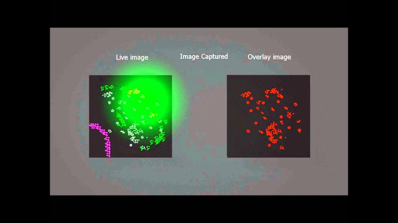 PALM microscopy (photo-activated light microscopy)