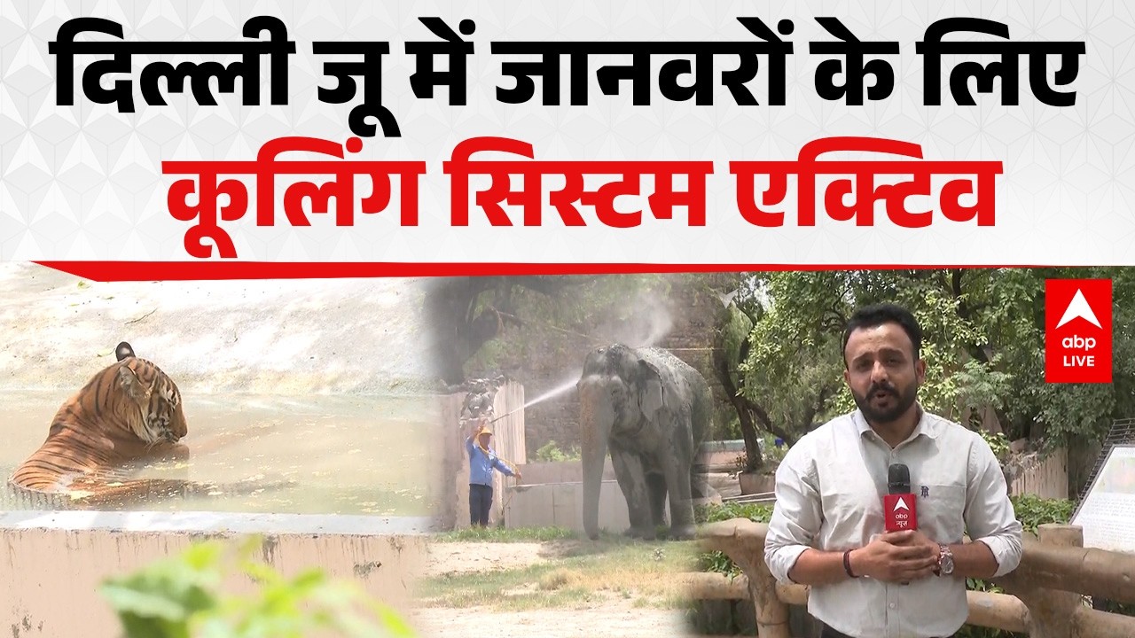 Delhi Heatwave: भीषण गर्मी में दिल्ली जू का खास इंतजाम |ABPLIVE