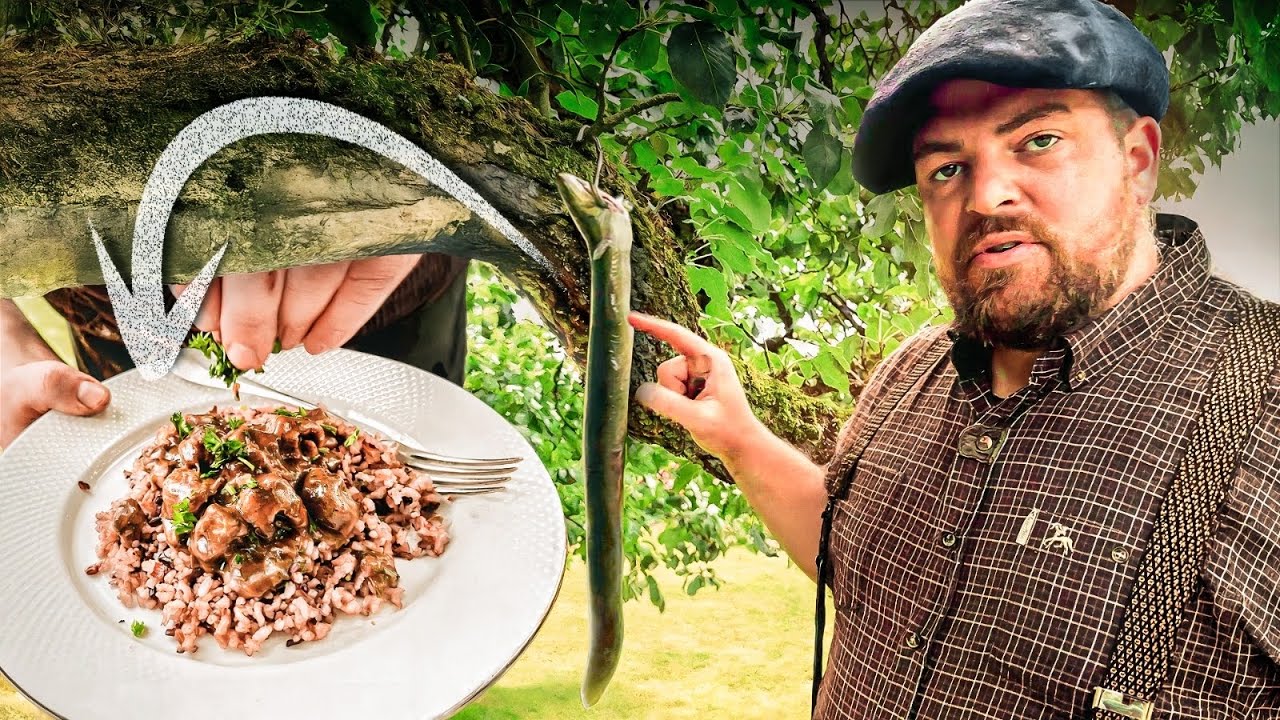 Recette d’Anguilles prises à la Nasse (Matelote)