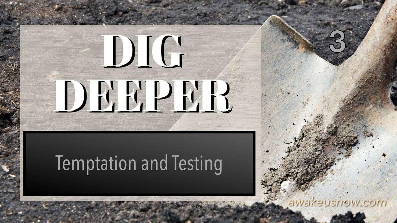 Dig Deeper - Week 3: Temptation & Testing