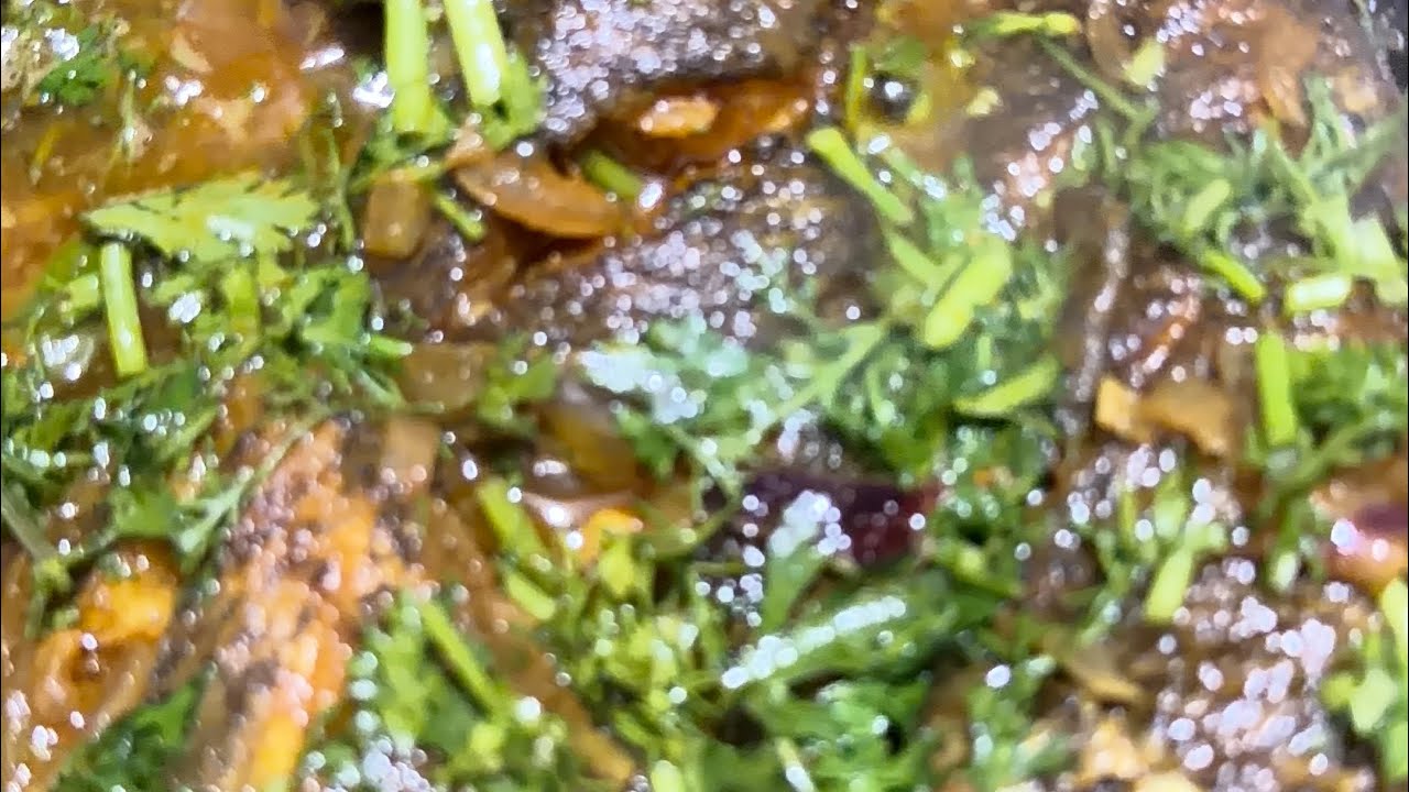 তেল কৈ রেসিপি - Tel Koi Recipe - Bengali Fish Curry Recipe -#highlights #cooking 