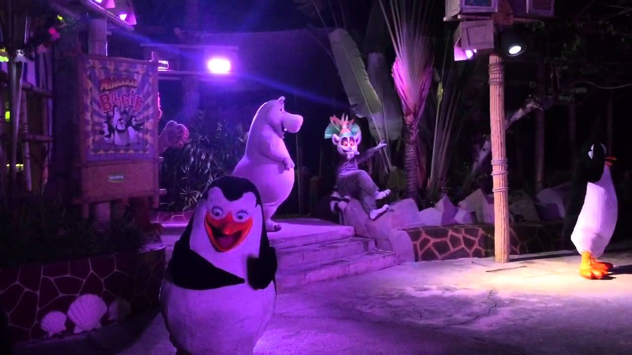 Madagascar Boogie!