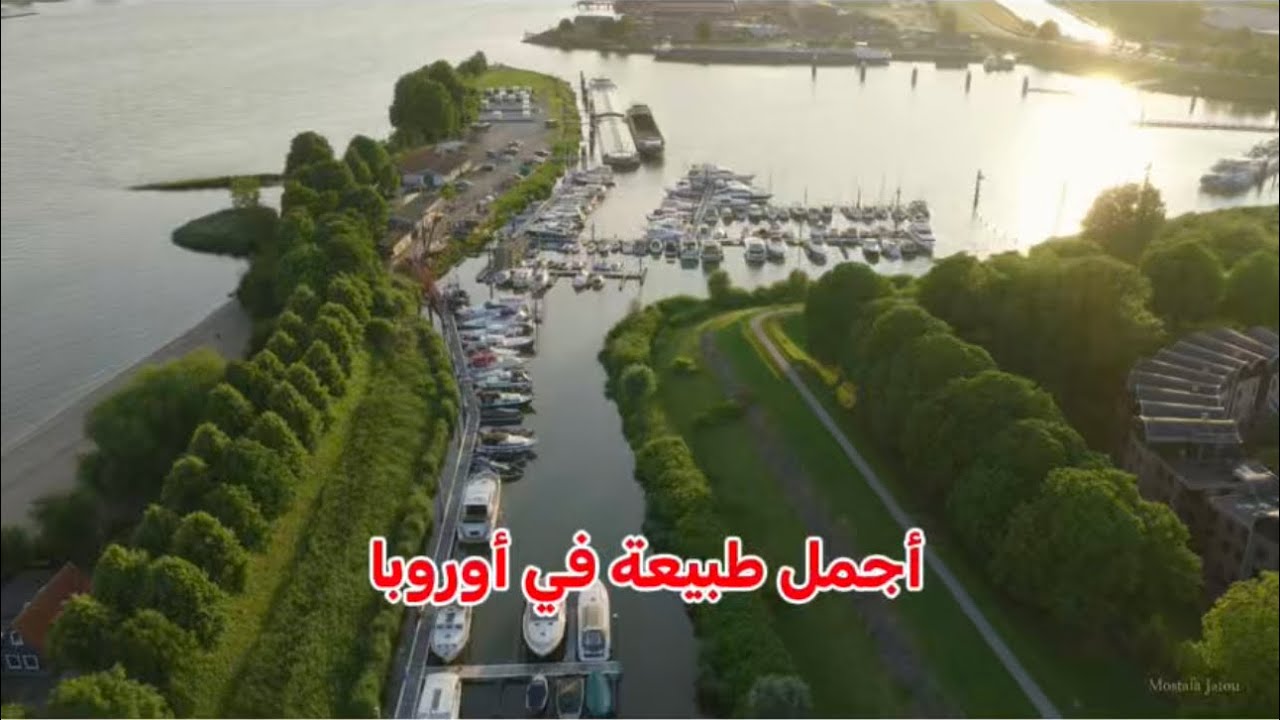 رحلة بين حقول هولندا وزهورها 🌷 | جمال طبيعي يخطف الأنفاس#2025 