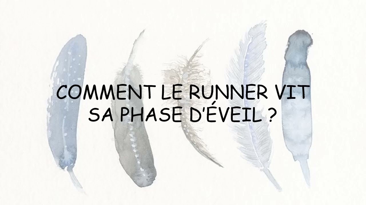 Comment le Runner vit sa phase d'&eacute;veil ?