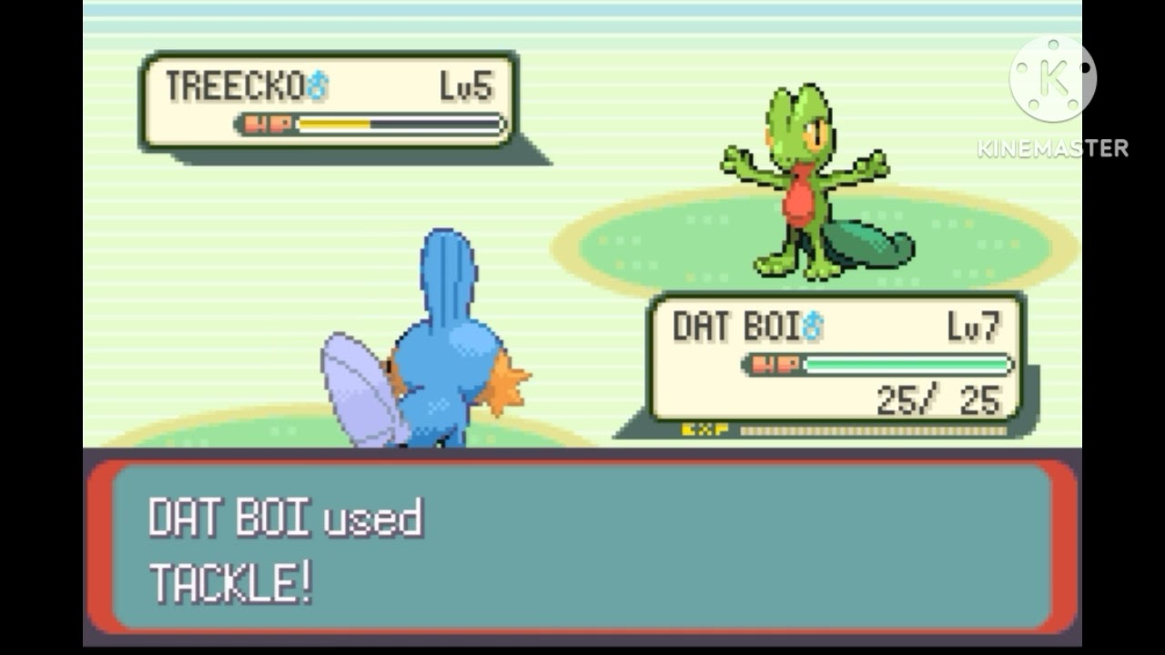 May Battle 1 (Pokemon Emerald Best Team)