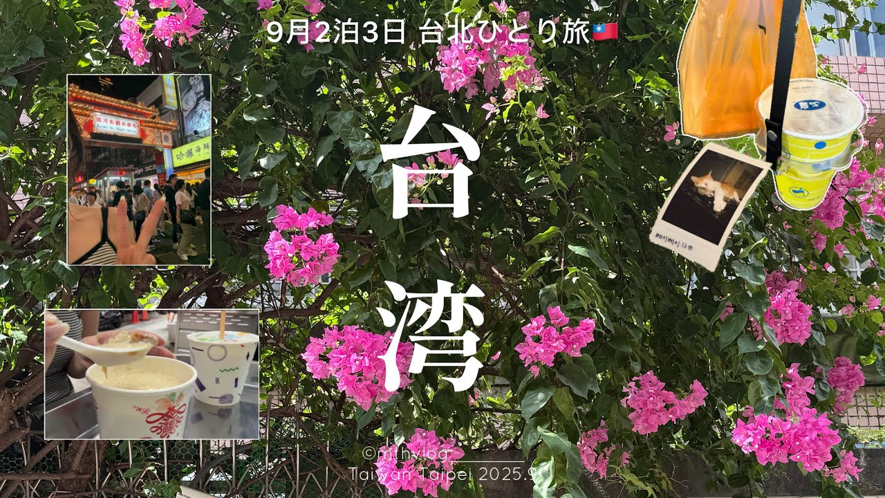 【 Taiwan vlog 】9月の2泊3日台湾 台北ひとり旅🇹🇼① | 永康街さんぽ🌿 | 饒河街觀光夜市 西門町 