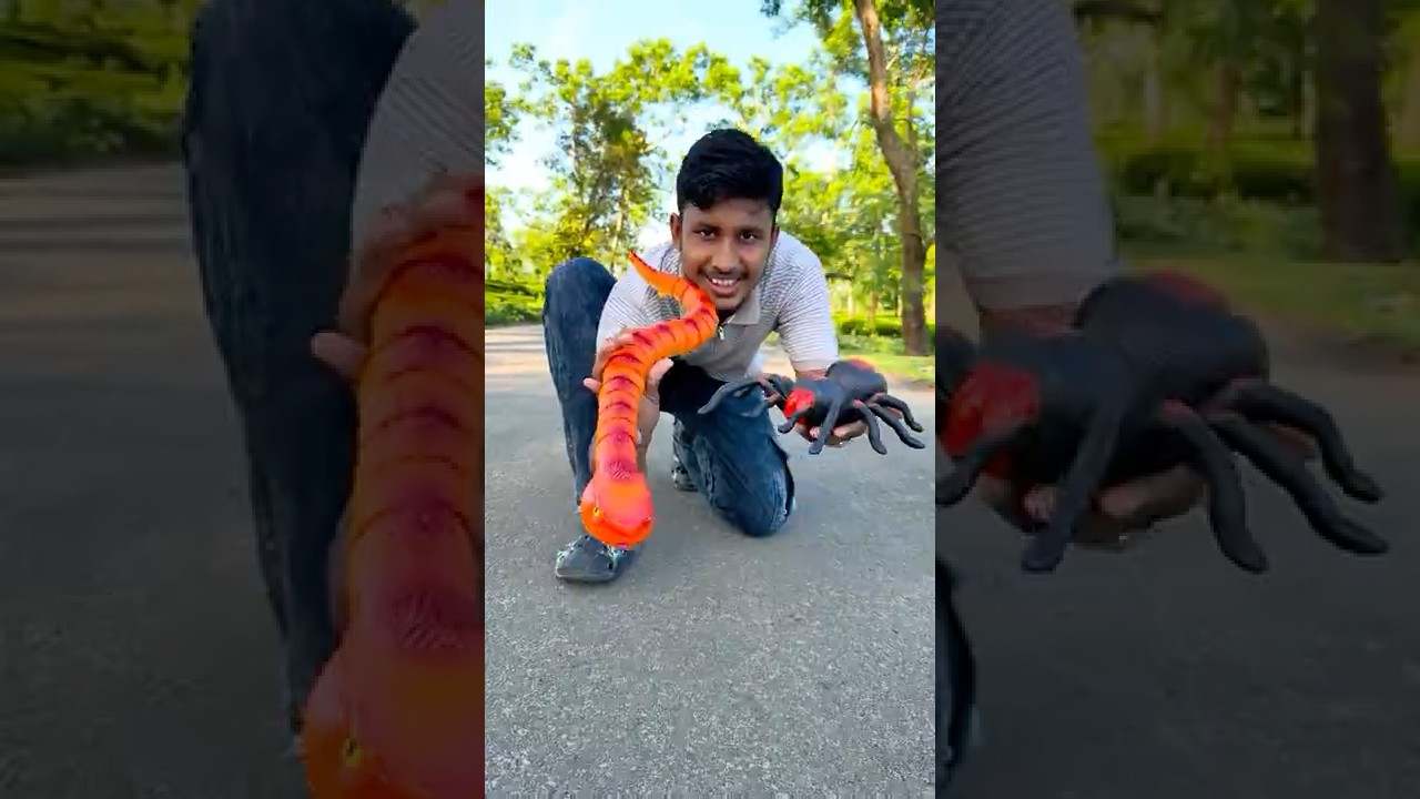 Snake R RC Spider | Змея с дистанционным управлением