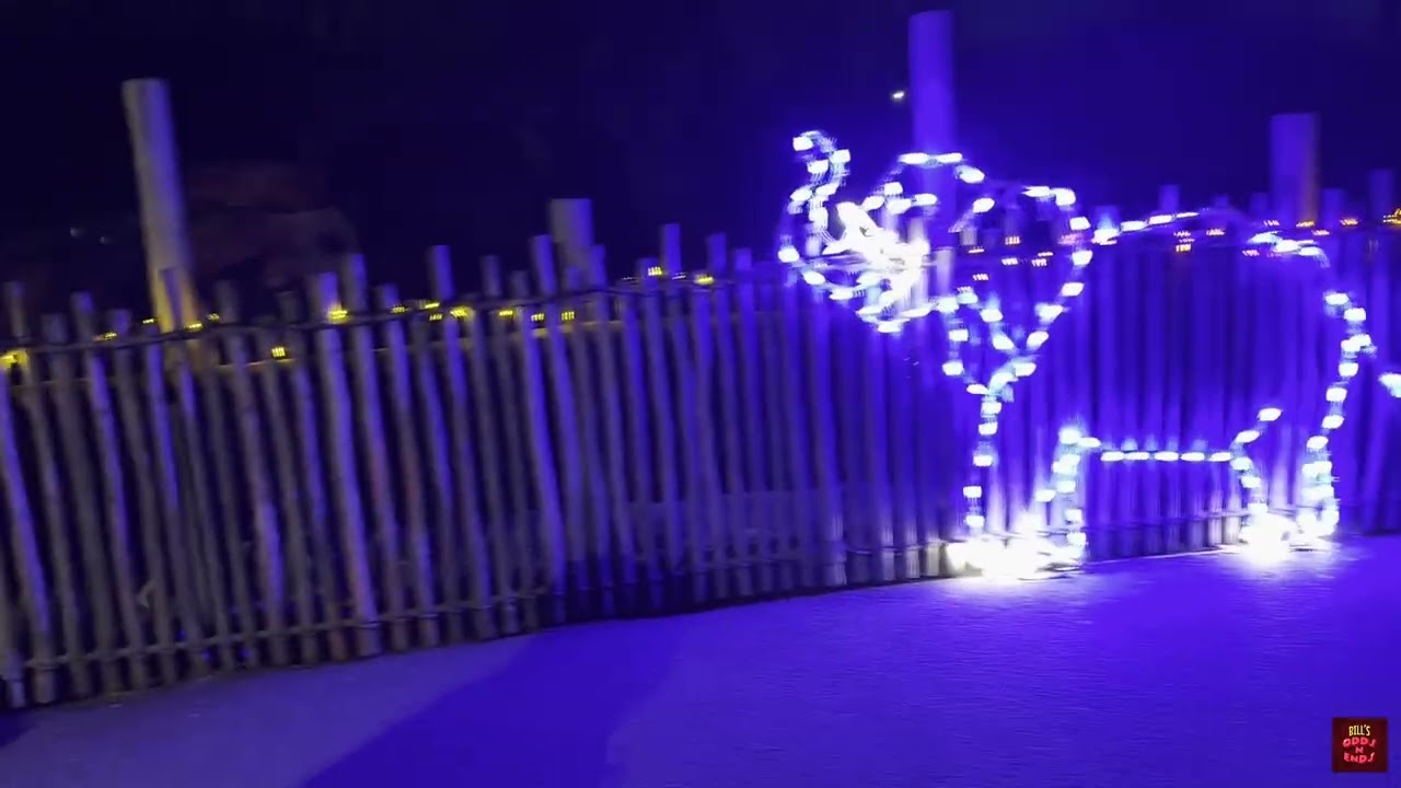 Hailey at the Zoo Part Two