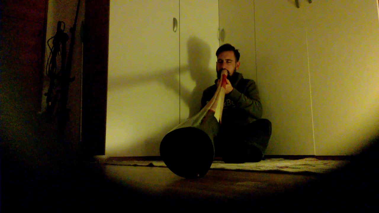 MASSIMO VANIN DIDJERIDOO AR "CHIMPANZEES"