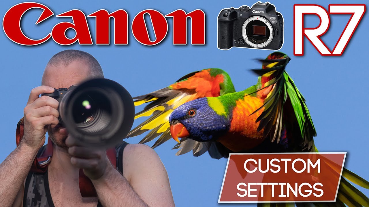 CANON R7: Индивидуальная настройка автофокуса для съемки птиц и диких животных