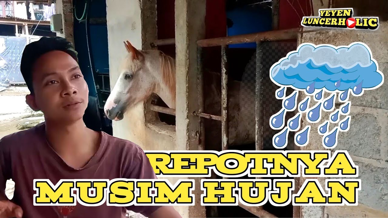 Ngobrol Sama Ridho Tentang Repotnya Cari Pakan Buat Kuda