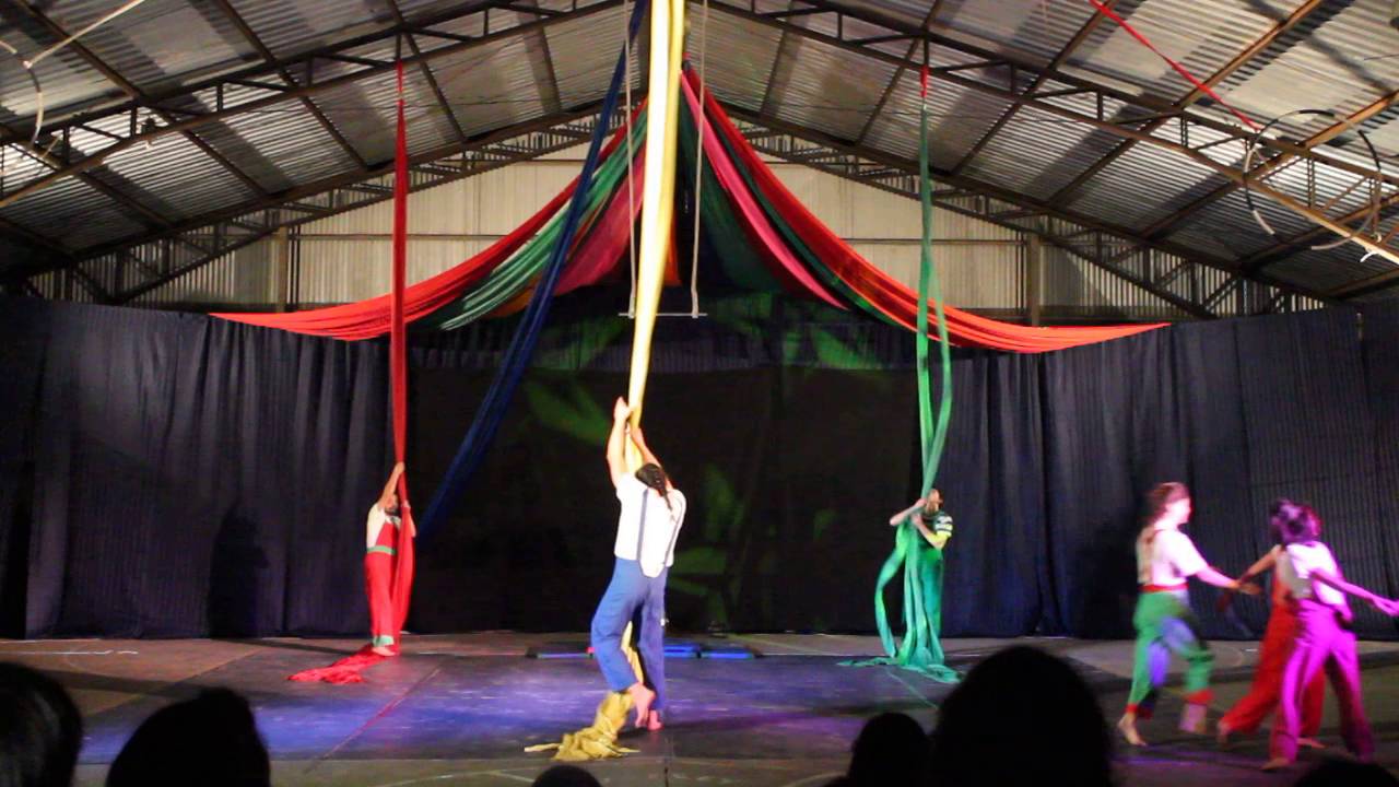 Grupal de Acrobacia en Tela -Muestra Coreográfica Telarbol