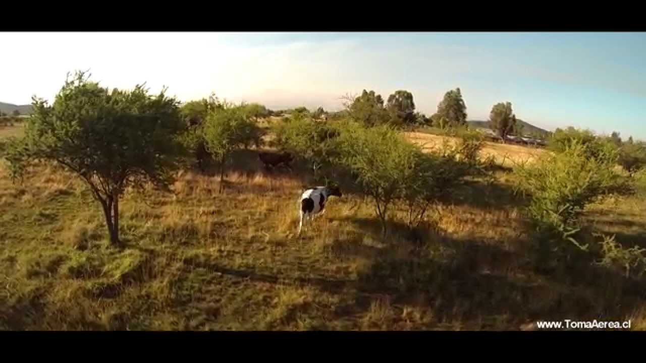 Tomas Aereas con drone TALCA - TBS Discovery pro