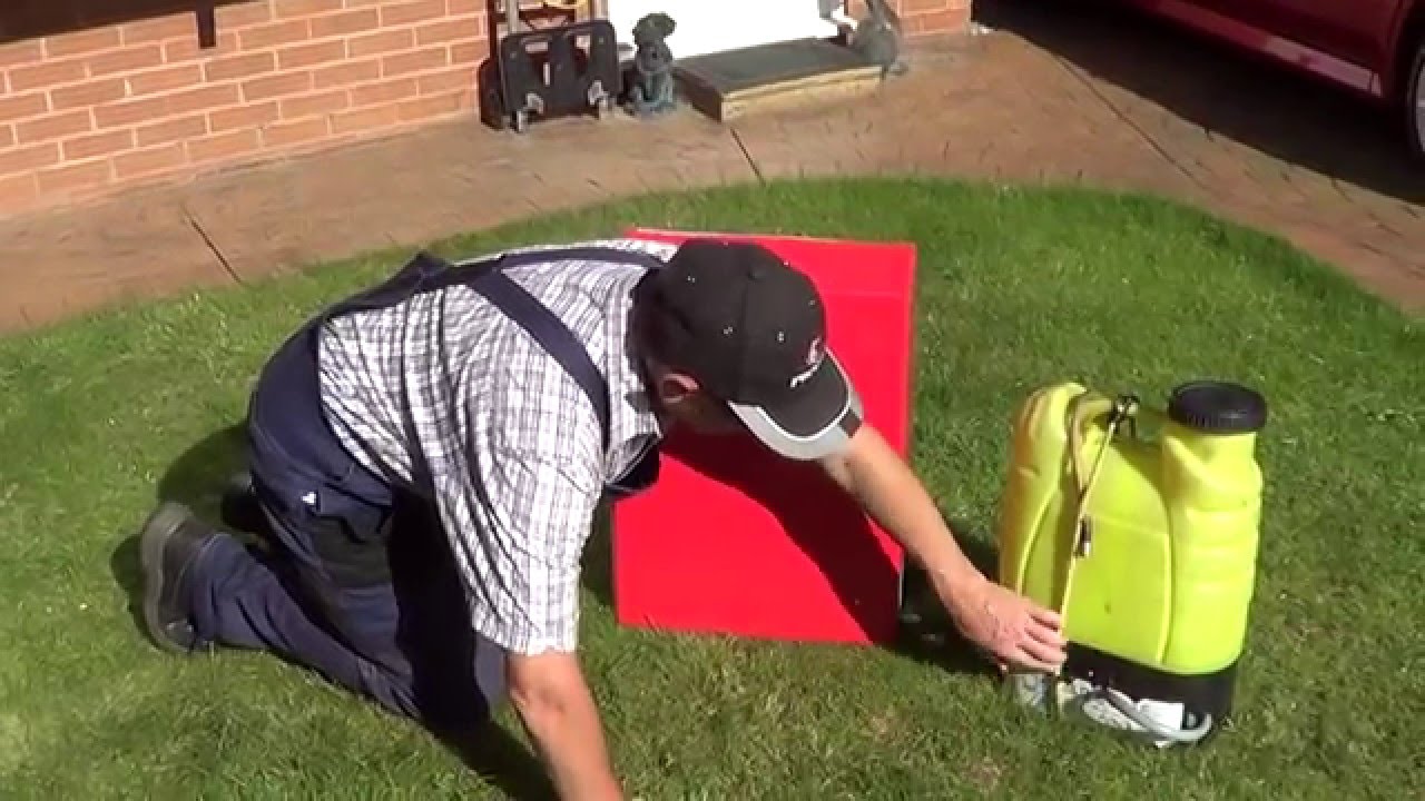 Bigboy Backpack review - Facelift Bigboy backpack
