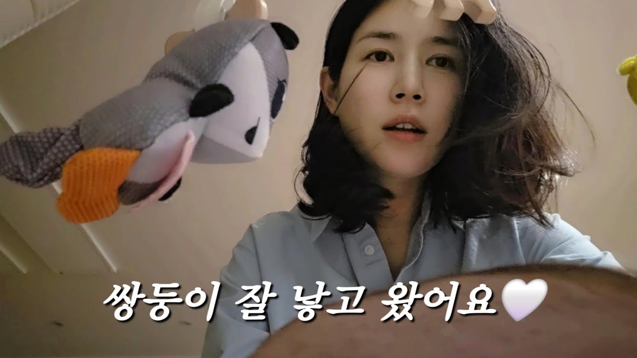 감자, 도토리 쌍둥이 아가들 잘 낳고 왔어요🙇‍♀️🤍