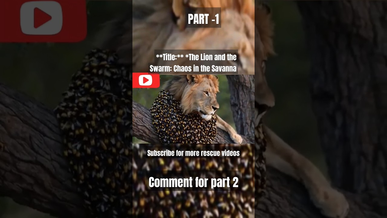 The Lion and the Swarm: Chaos in the Savanna #animalrescue #animals #lion #lionrescue #rescue #video