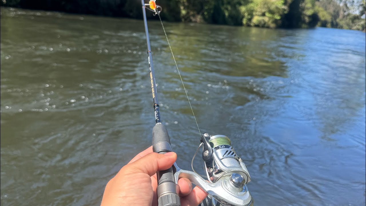 PESCANDO EN EL RÍO MAULLIN -BAJADA EN BOTE 