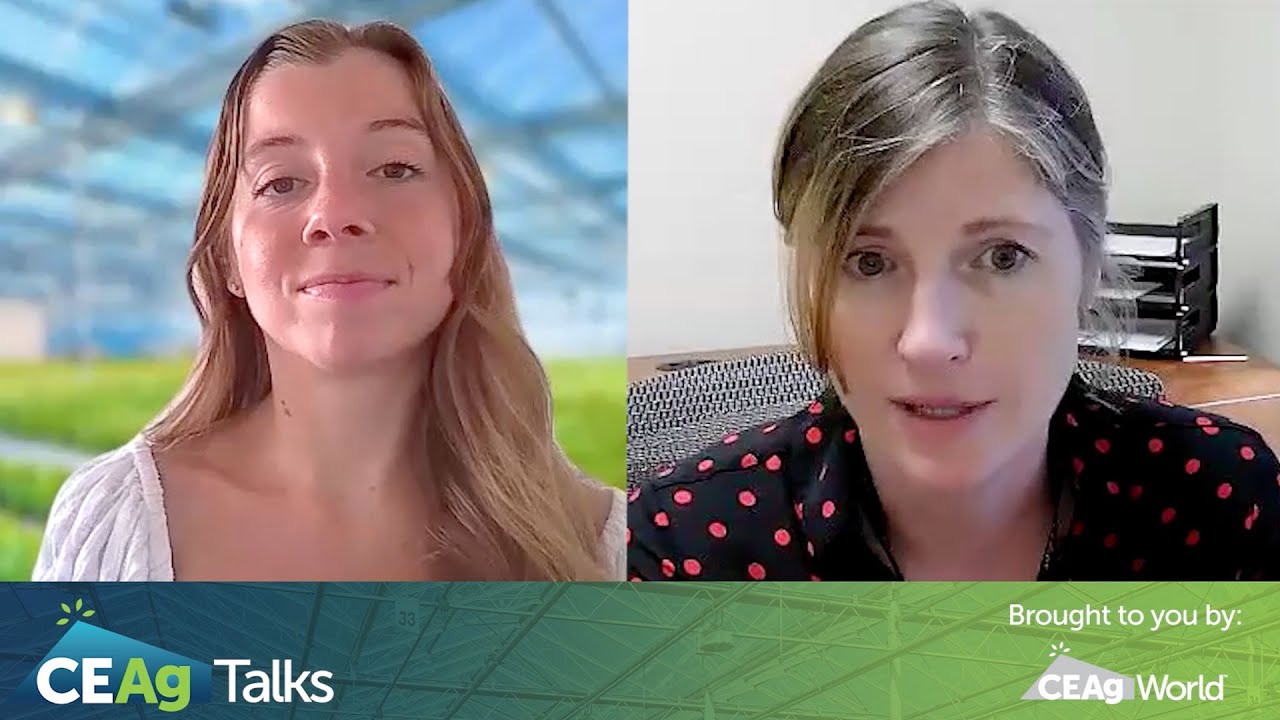 Bridging the Gap Between Industry and Academia