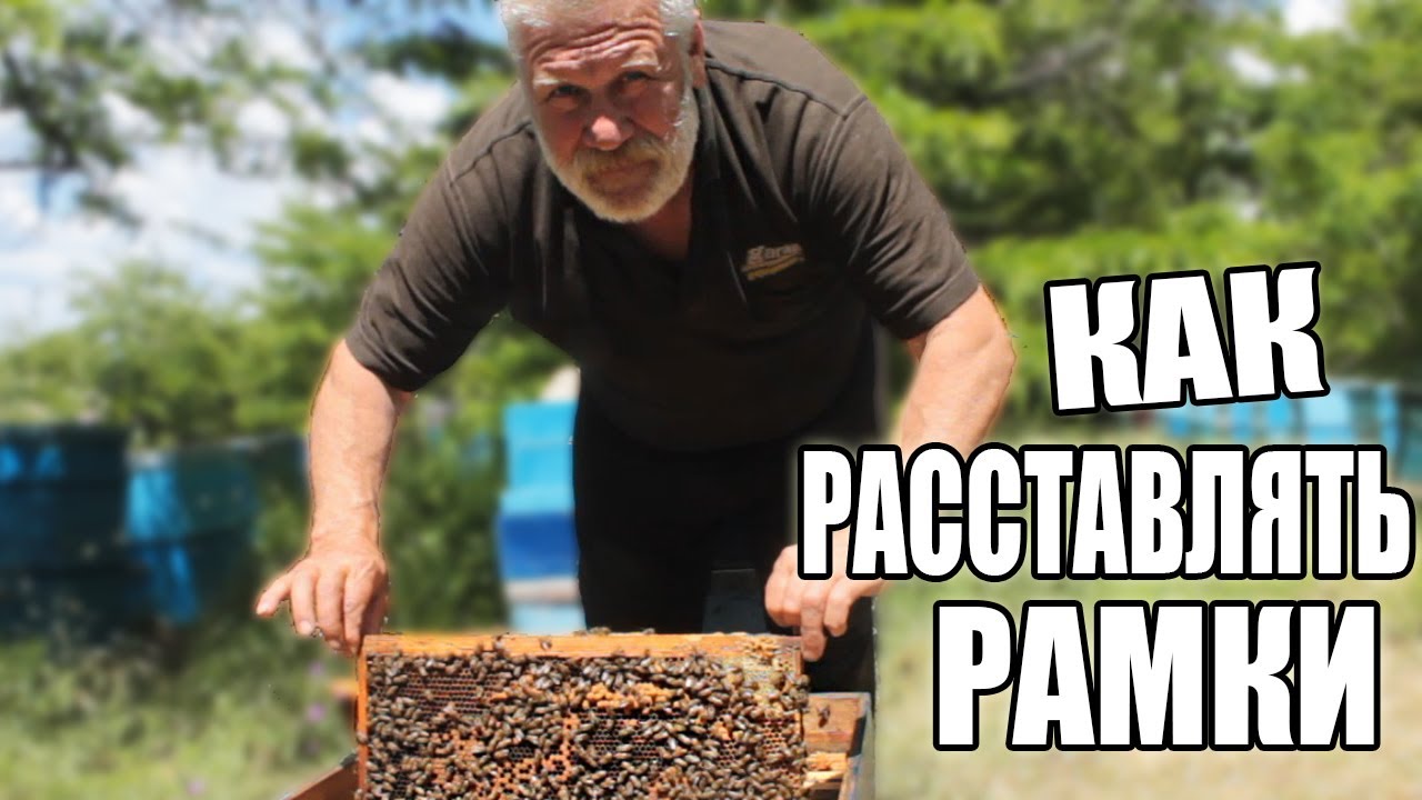 Как правильно расположить рамки в улие. Пчеловодство 2020. Пчеловодство для начинающих