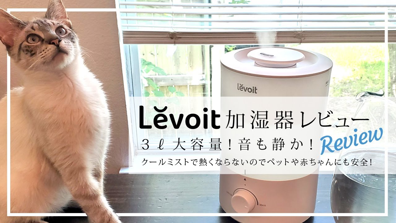 LEVOIT加湿器レビュー💧3ℓ大容量！音も静か！クールミストで熱くならないのでペットや赤ちゃんにも安全！ASMR、生活音、聖書
