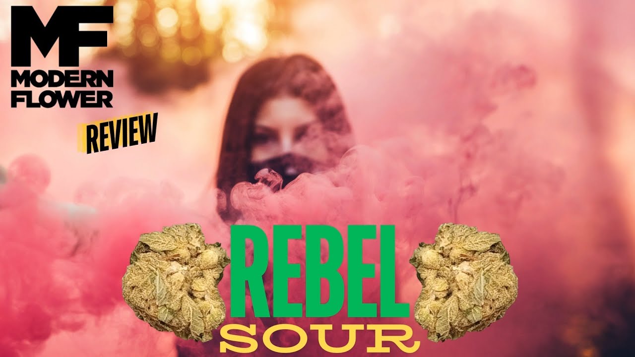 Modern Flower Rebel Sour Flower Review