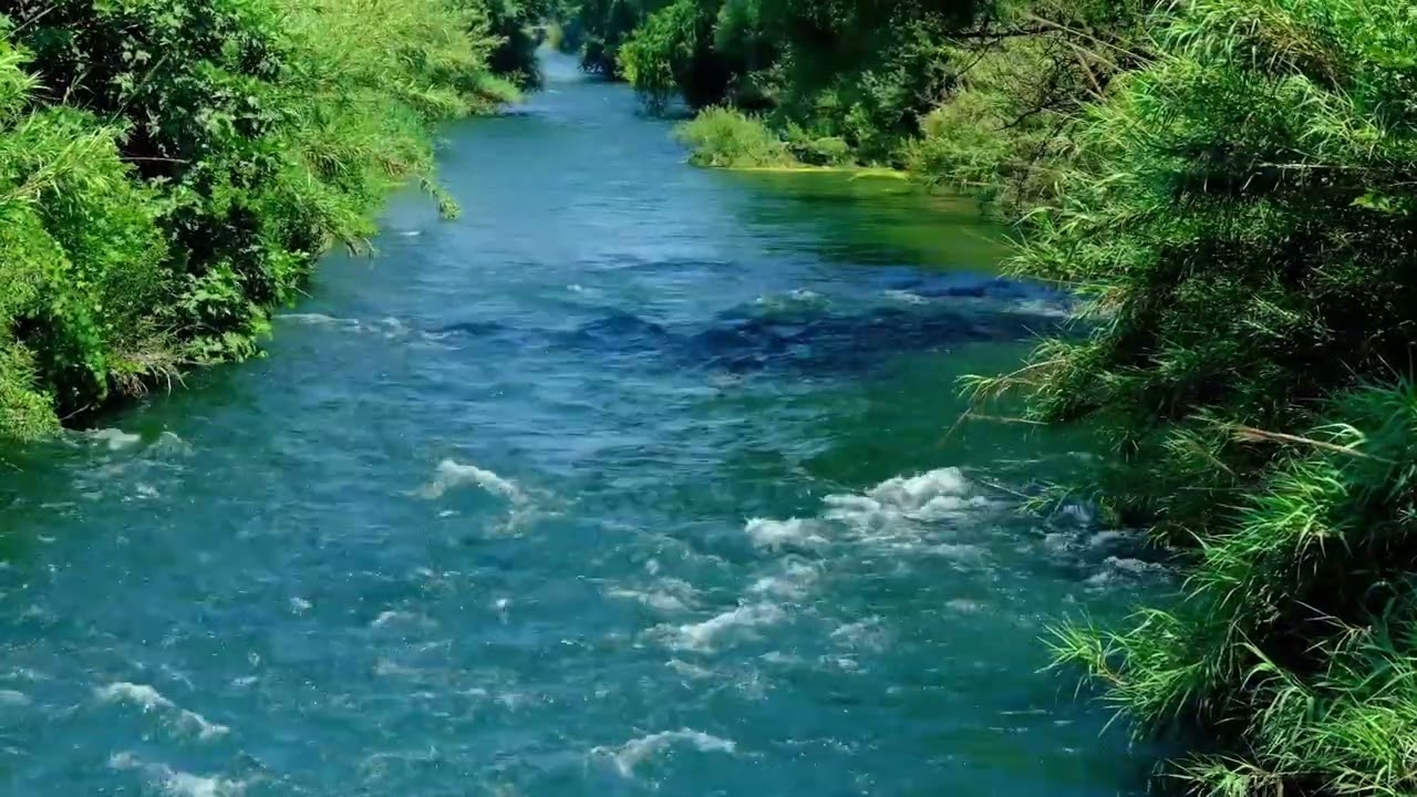 Soothing Forest River | Soft Flowing | Calming Vibes & Ambiance | 4K |🌲🌊✨
