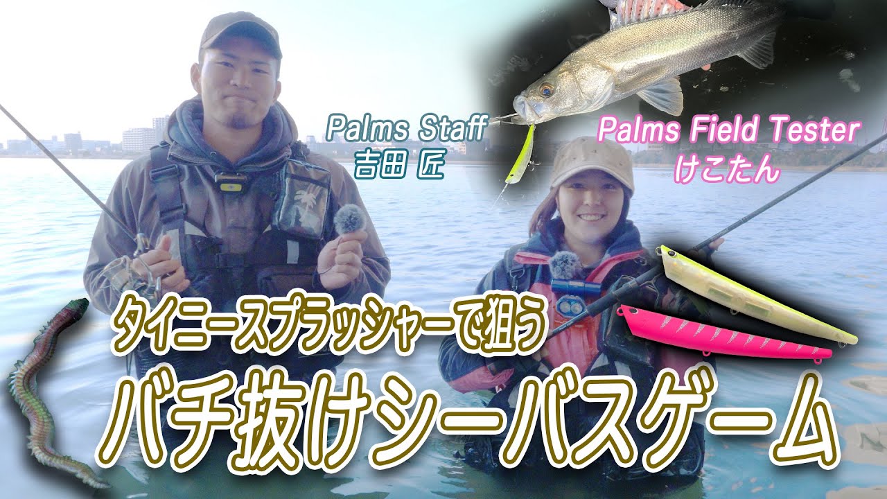 タイニースプラッシャーで狙うバチ抜けシーバス