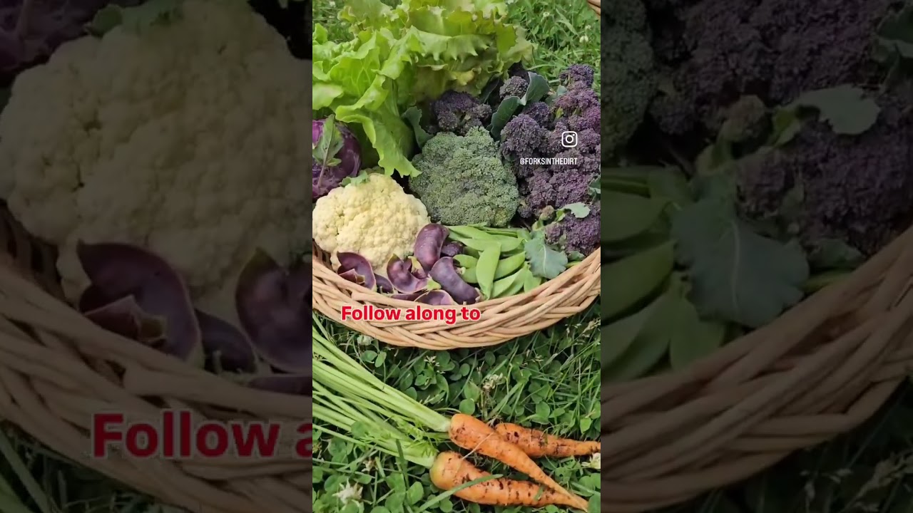 Food Independence
