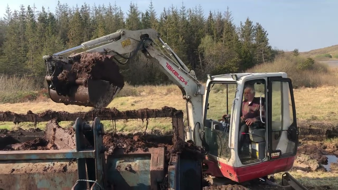 Turf cutting 2024