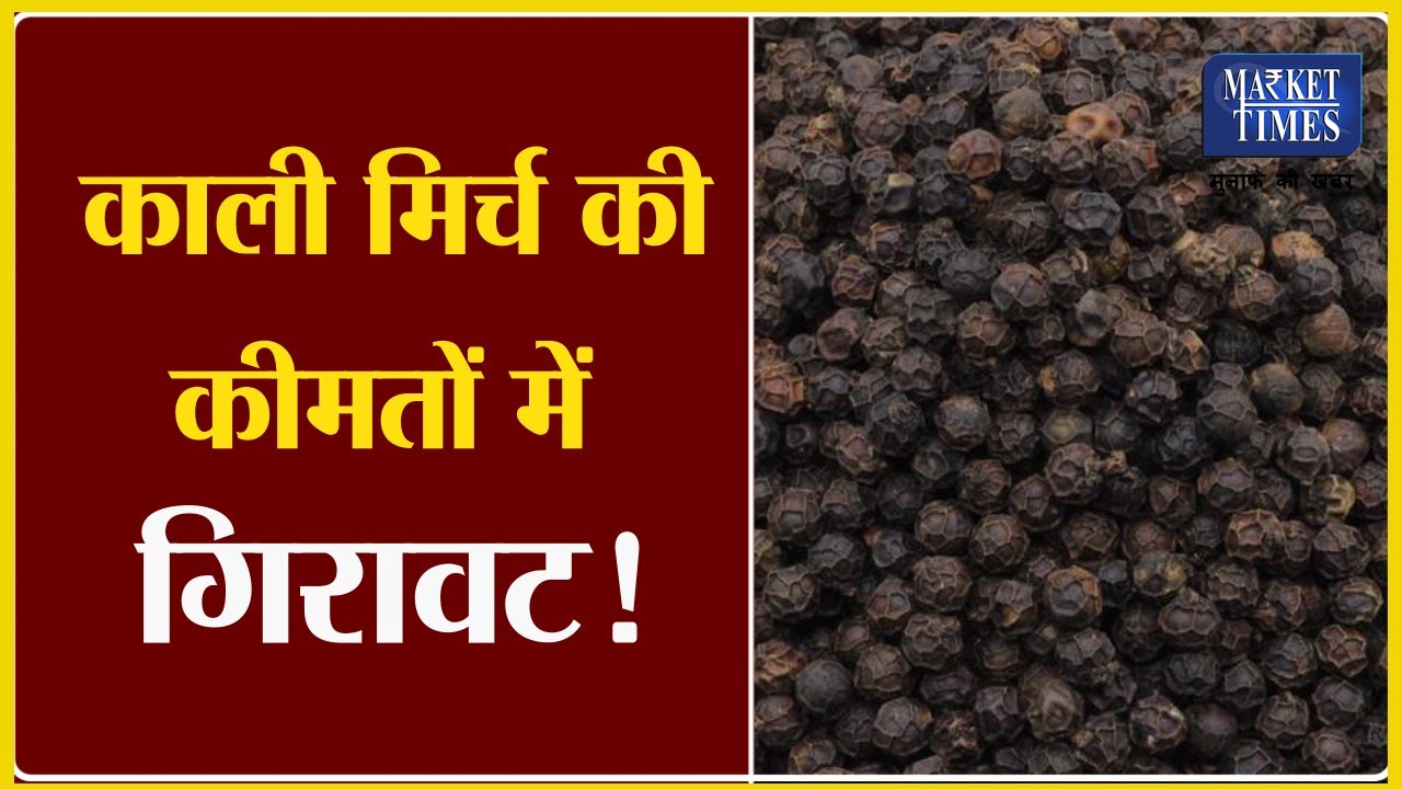काली मिर्च की कीमतों में गिरावट ! Market Times TV #blackpepper #kalimirch #कालीमिर्च