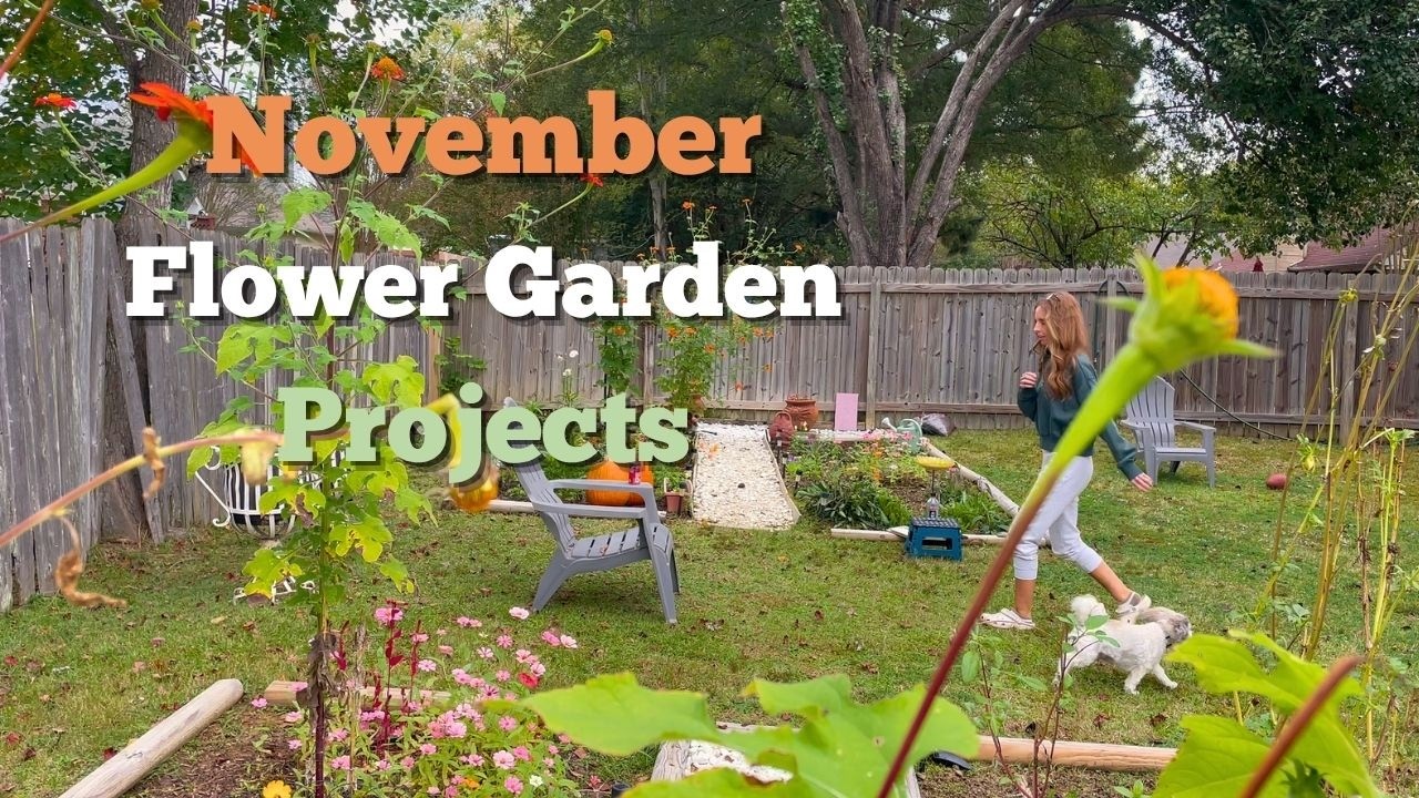 November Garden Cleanup 🍂 Cutting Back Daisies & Sunflowers | Fall Zone 8B