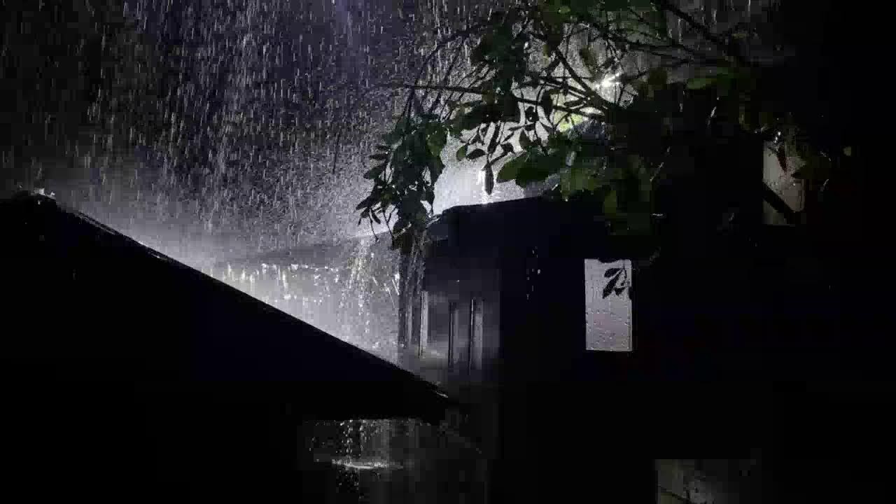 Deep Sleep Rain 🌙 Heavy Rain Falling on Tin Roof