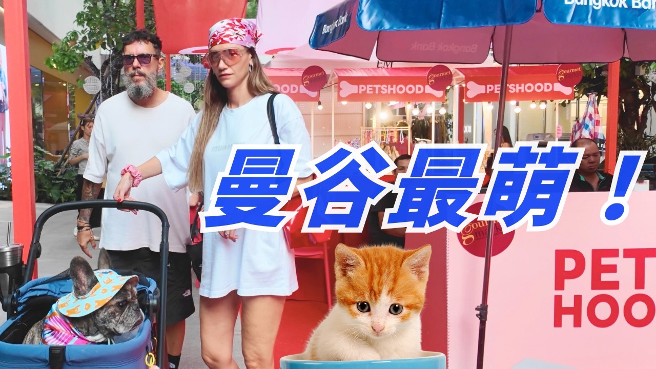 泰國人到底多愛貓狗？走一趟 EmQuartier Pets Hood 就知道：泰國 🇹🇭 才是毛孩天堂｜Phrom Phong 聊天走逛曼谷最強時尚寵物活動 🐕 🐈