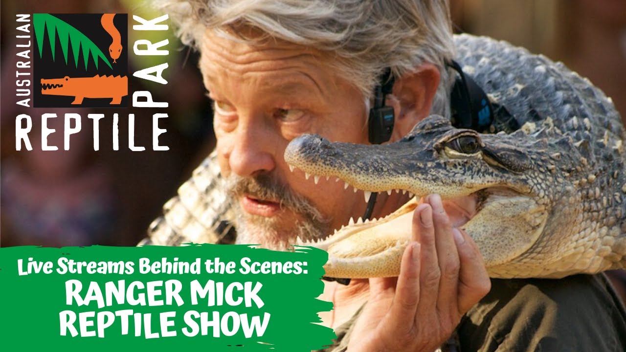 LIVE: RANGER MICK REPTILE SHOW | AUSTRALIAN REPTILE PARK