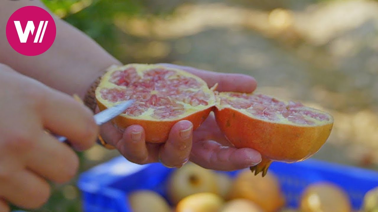 Spanish pomegranate: Superfruit of the gods | Pomegranate & Chestnuts (Episode 3/4)