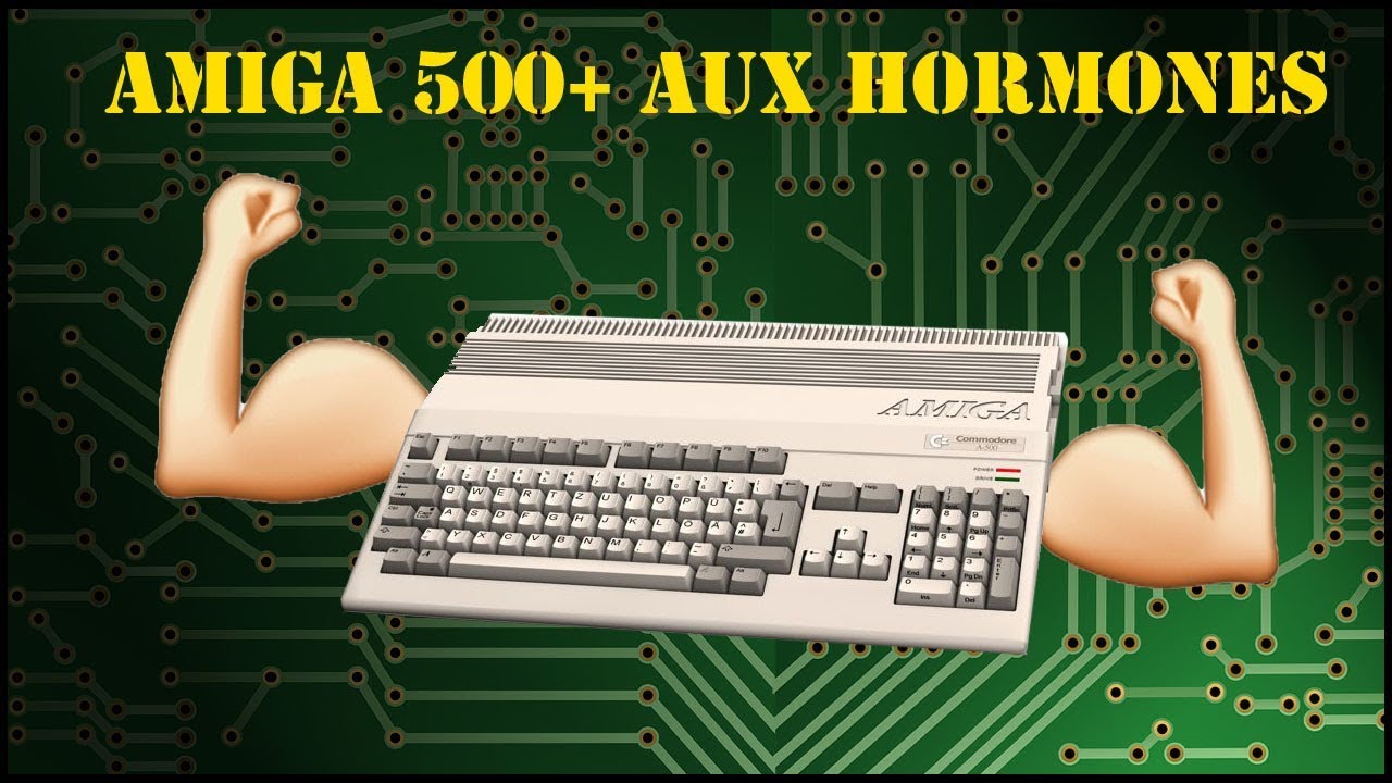 Amiga 500 + équipé d'un hd protar, d'un supra turbo 28 ,indivision .