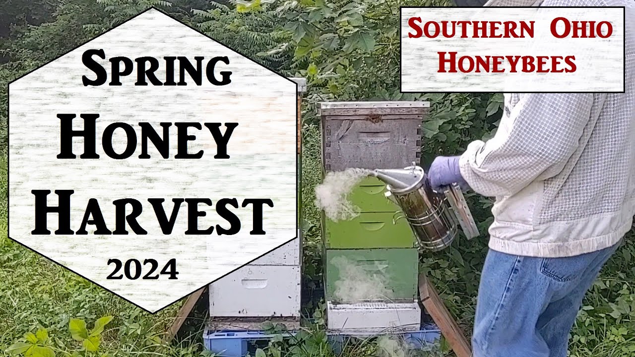 Triangle Bee Escapes and Honey Harvest Spring 2024