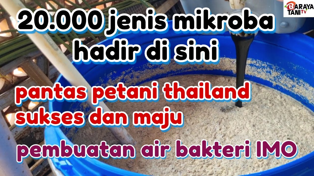 CARA MEMBUAT AIR BAKTERI IMO DENGAN 20.000 JENIS MIKRO ORGANISME UNTK PUPUK KOMPOS & KESUBURAN TANAH