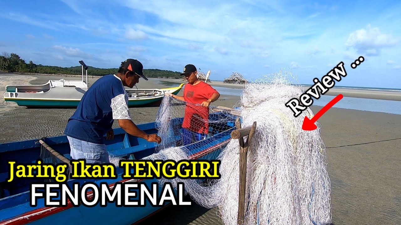 REVIEW JARING IKAN TENGGIRI YANG FENOMENAL - JARING MILENIUM