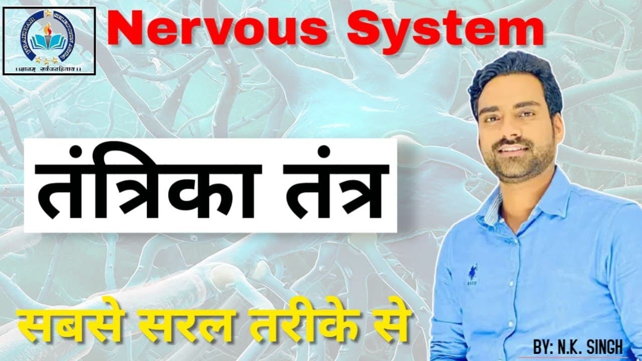 Nervous System (part -1) with NK Singh | UPPCS/S-TET | PAKHAR SELECTION ADDA