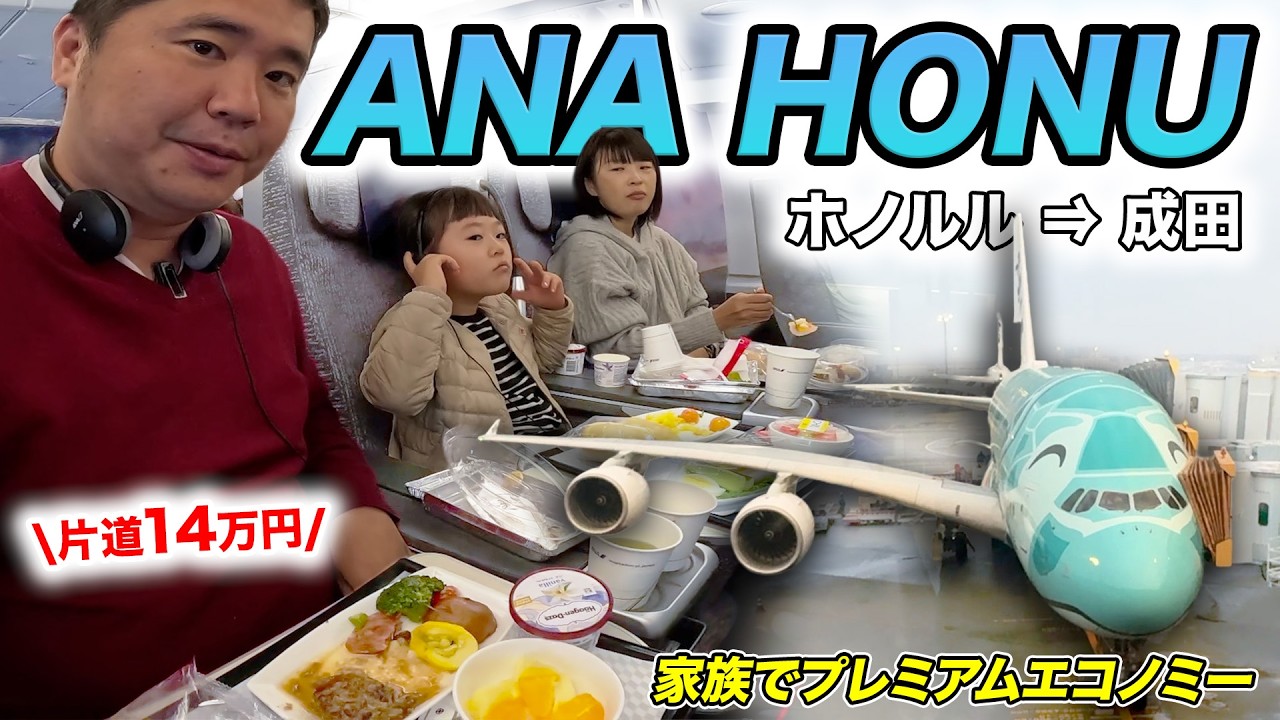 【広い】ANAフライングホヌ搭乗記！家族連れだとプレミアムエコノミーが最強だよ