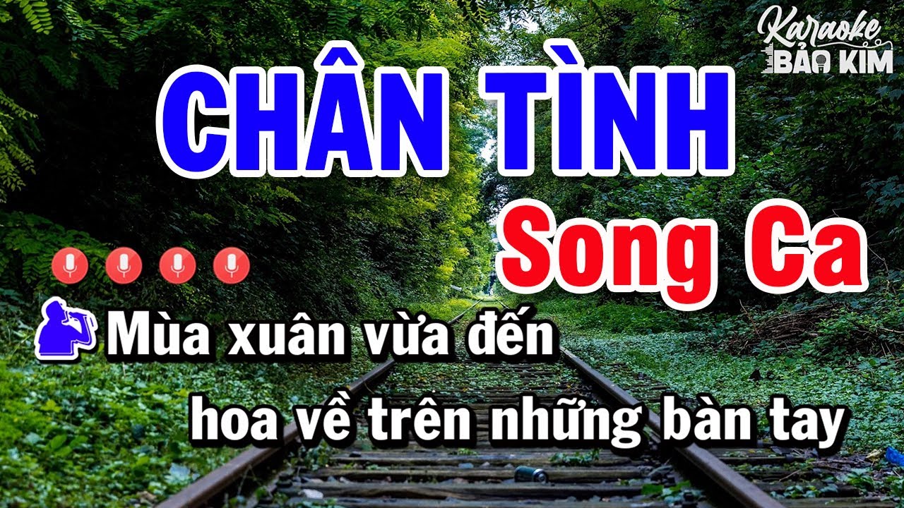 Chân Tình Karaoke Song Ca | Beat Dễ Hát Nhất 2023 Âm Thanh Chuẩn