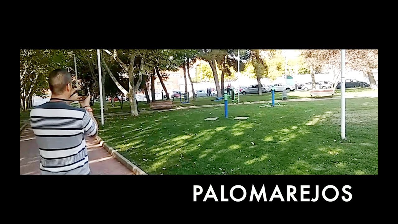 CINE COMUNITARIO. Barrio de Palomarejos de Toledo
