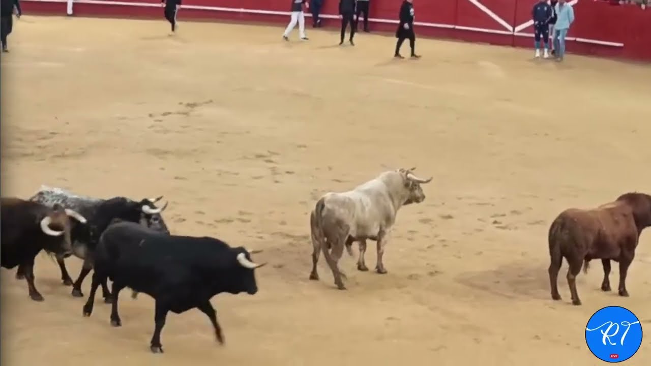 Valdemorillo