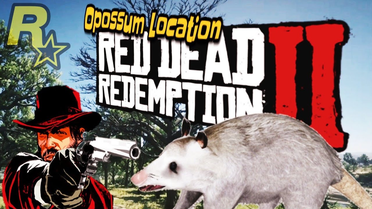 Opossum location Easy, RDR2. Master Hunter Mission. 