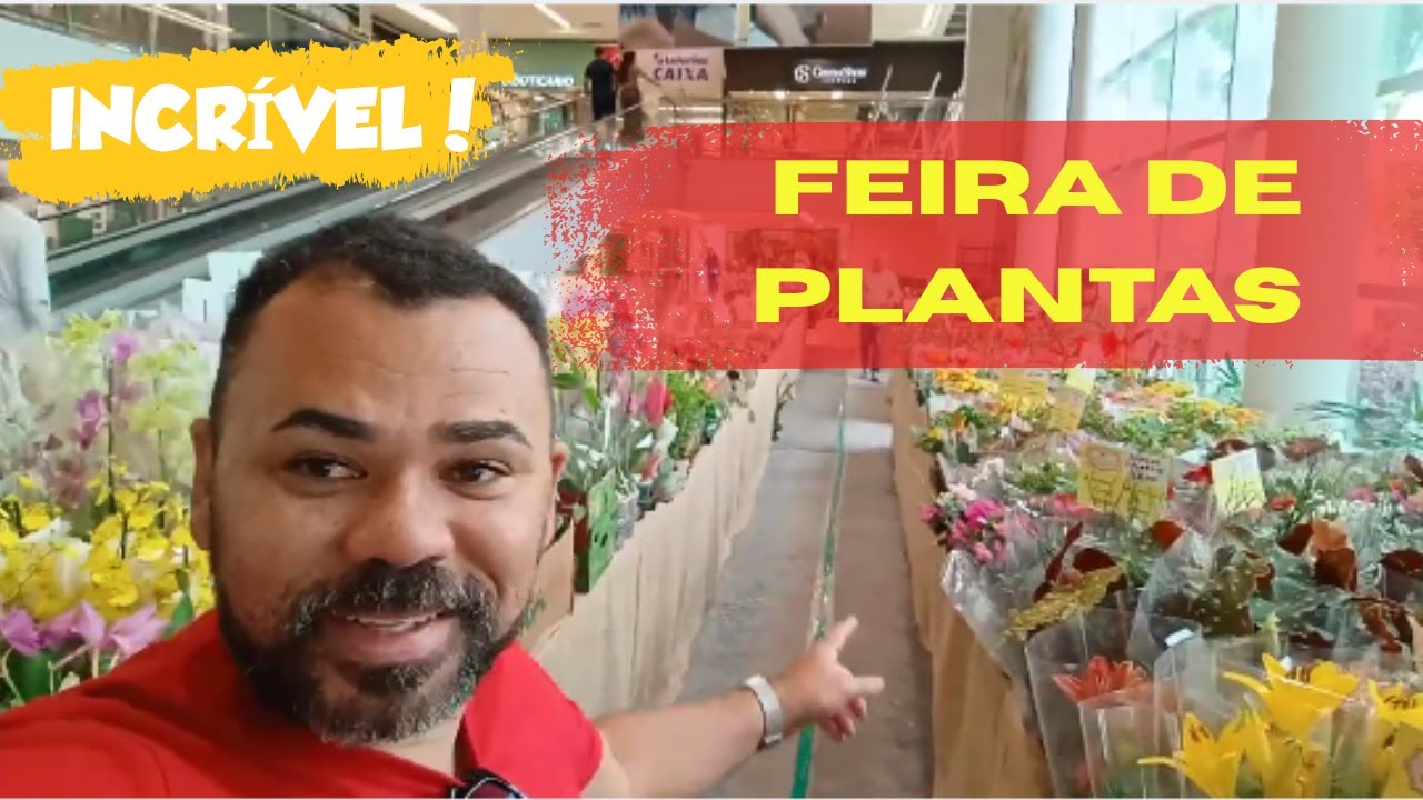Nunca vi tantas plantas lindas num só lugar!